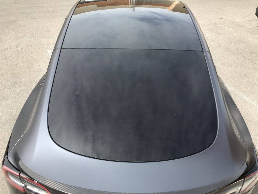 2020 Tesla Model Y Back View