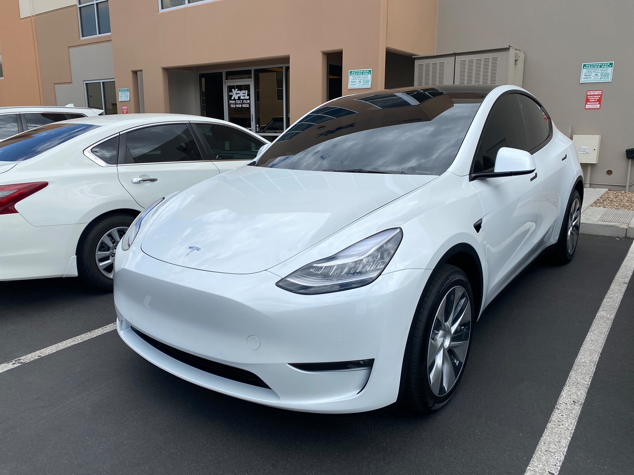 tesla model y Archives - XPEL Las Vegas